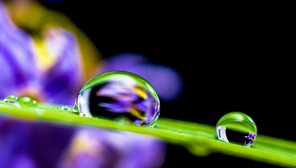 drop-of-water-drip-blade-of-grass-blossom-55818